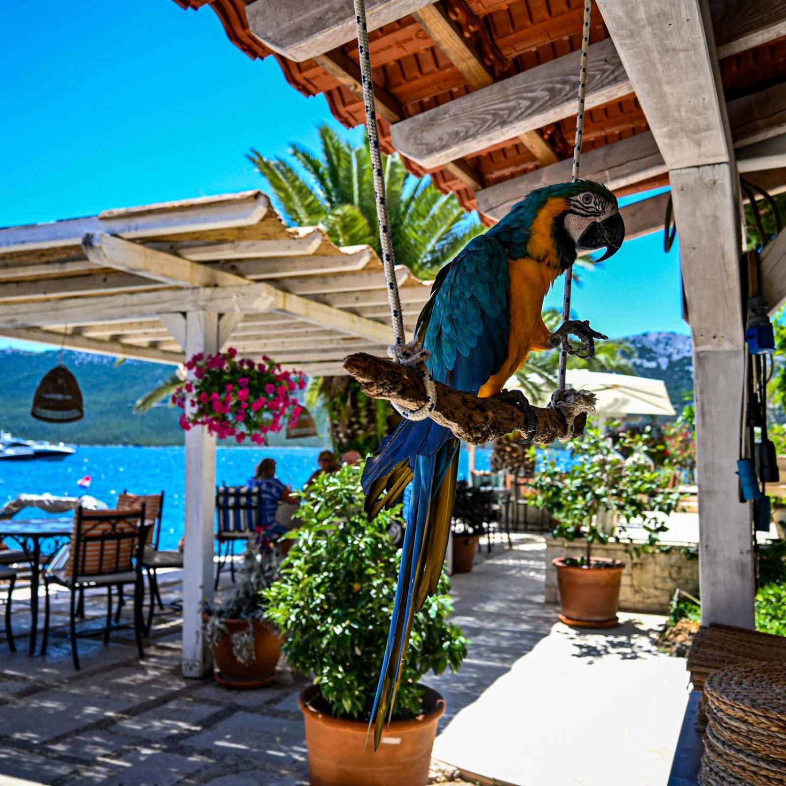 Villa Rava Hotel & Restaurant Kültér fotó